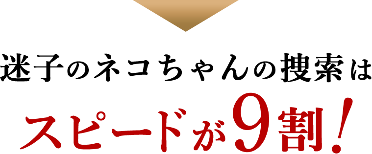 迷子のネコちゃんの捜索はスピードが9割！