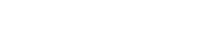 ネコちゃん探偵のプロ