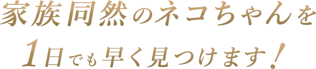 ネコちゃん探偵のプロが家族同然のネコちゃんを1日でも早く見つけます！