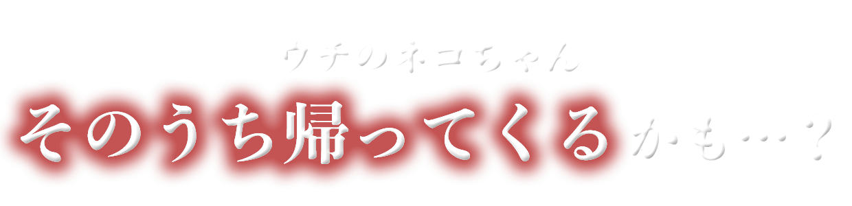 ウチのネコちゃんそのうち帰ってくるかも…？