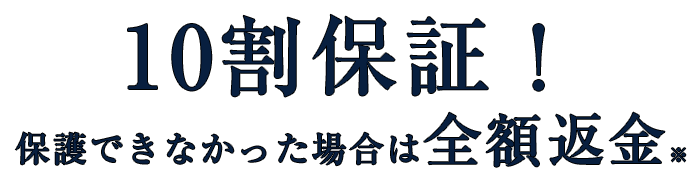 ネコちゃん探しに特化！発見率が約80%