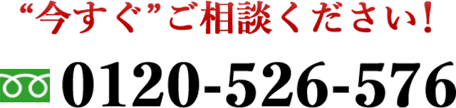 ネコちゃん探偵のプロは0120-526-576にお電話を