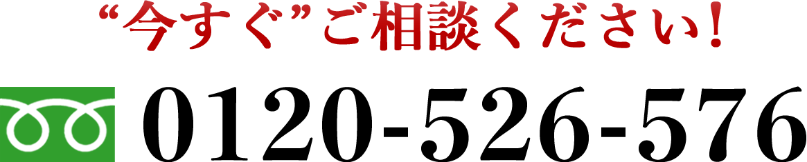 ネコちゃん探偵のプロは0120-526-576にお電話を