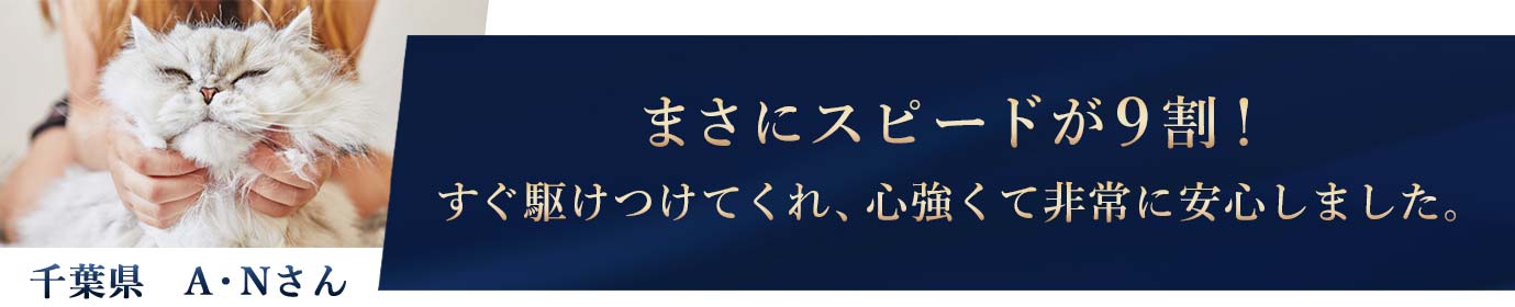 ネコちゃん探偵のプロへの依頼主様の声1