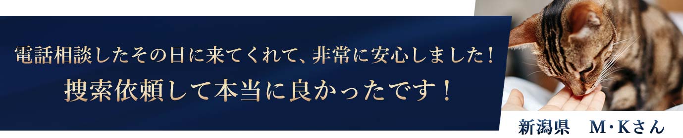 ネコちゃん探偵のプロへの依頼主様の声2