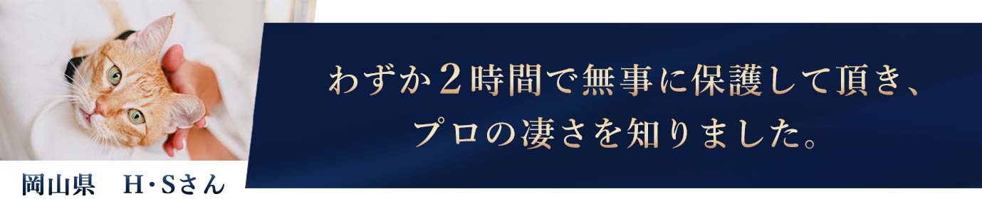 ネコちゃん探偵のプロへの依頼主様の声2