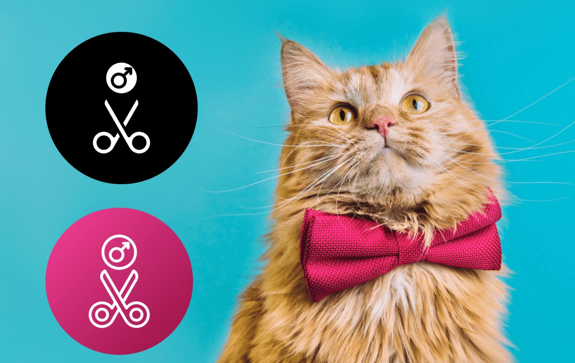 重要なポイント